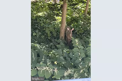 21 Faraday Court, Morton, PA 19070 - Photo 19