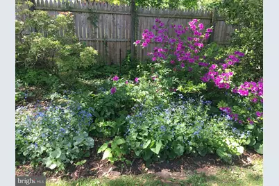 303 Barry Lane, Wallingford, PA 19086 - Photo 11