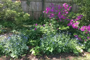 303 Barry Ln, Wallingford, PA 19086 - Photo 11