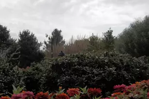 3441 Hance Ln, Garnet Valley, PA 19060 - Photo 55