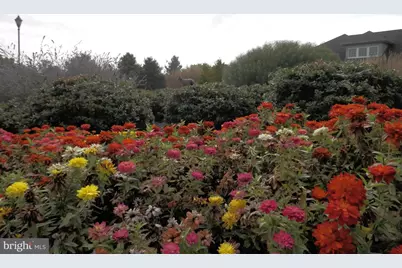 3441 Hance Lane, Garnet Valley, PA 19060 - Photo 53