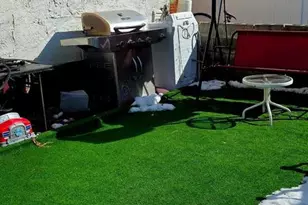 208 Walnut St, Darby, PA 19023 - Photo 3