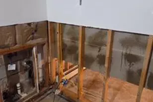 428 Hazel Ave, Folsom, PA 19033 - Photo 25