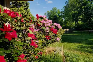 905 Heathdale Ln, Media, PA 19063 - Photo 81