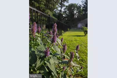 905 Heathdale Lane, Media, PA 19063 - Photo 89