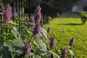 905 Heathdale Ln, Media, PA 19063 - Photo 89