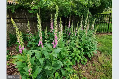 905 Heathdale Lane, Media, PA 19063 - Photo 83