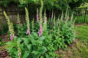 905 Heathdale Ln, Media, PA 19063 - Photo 83