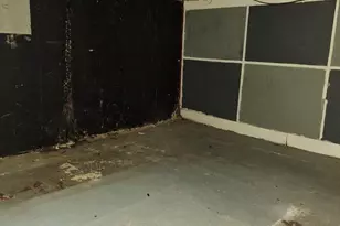 919 Sharon Ave, Sharon Hill, PA 19079 - Photo 13