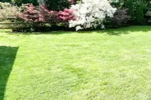 235 Rodney Cir, Bryn Mawr, PA 19010 - Photo 29