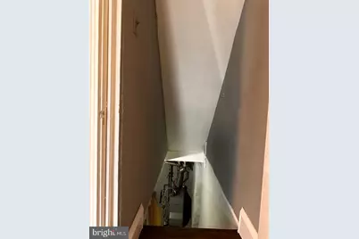 411 Millbank Road, Upper Darby, PA 19082 - Photo 15