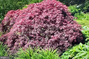 1710 Painters Crossing, Chadds Ford, PA 19317 - Photo 31