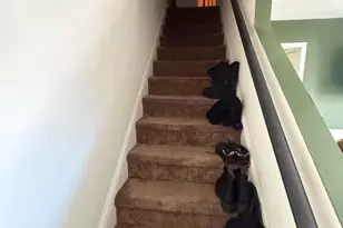 332 South Ave, Norwood, PA 19074 - Photo 33