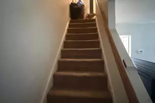 336 S South Ave, Norwood, PA 19074 - Photo 27