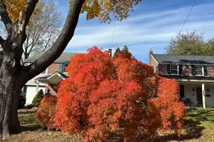 1511 Robinson Ave, Havertown, PA 19083 - Photo 25