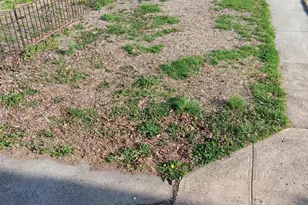 4 S Academy Ave, Glenolden, PA 19036 - Photo 5