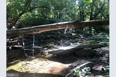 1313 Delmont Avenue, Havertown, PA 19083 - Photo 41