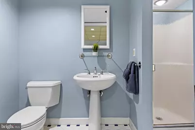 217 Ravenscliff Road, Wayne, PA 19087 - Photo 45