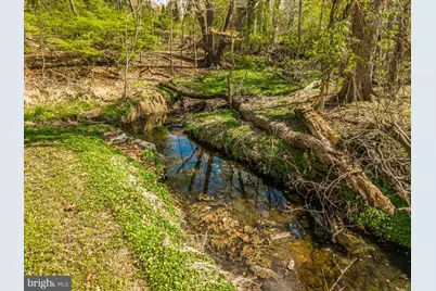 405 E Woodland Avenue, Springfield, PA 19064 - Photo 13