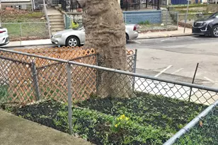 419 Gilpin Rd, Upper Darby, PA 19082 - Photo 5