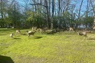 474 Ridge Ln, Springfield, PA 19064 - Photo 49