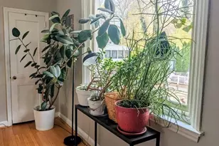 307 Valley Rd, Havertown, PA 19083 - Photo 17