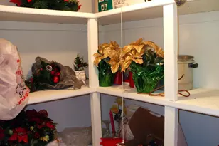 838 Colwell Rd, Swarthmore, PA 19081 - Photo 9