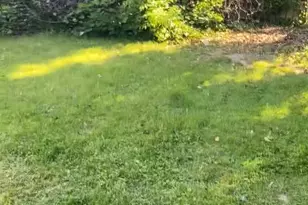 422 Arbor Rd, Lansdowne, PA 19050 - Photo 3