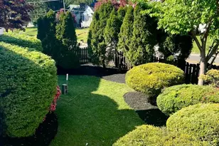 293 Friendship Rd, Drexel Hill, PA 19026 - Photo 21