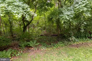 35 Violet Ln, Lansdowne, PA 19050 - Photo 61