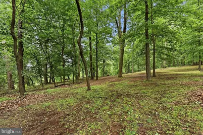 Lot #2 Dogwood Lane, Aston, PA 19014 - Photo 5