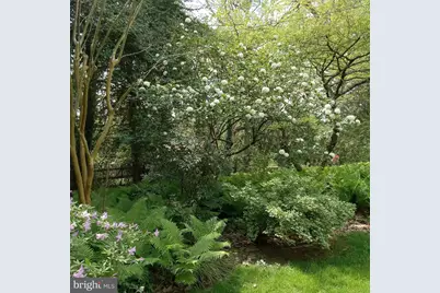 4 Swarthmore Place, Swarthmore, PA 19081 - Photo 61