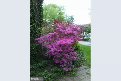 4 Swarthmore Place, Swarthmore, PA 19081 - Photo 63