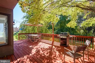 303 Countryview Dr, Bryn Mawr, PA 19010 - Photo 47