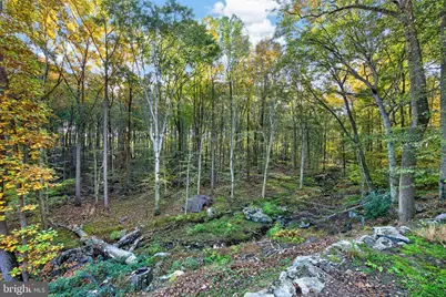 602 Featherbed Lane, Garnet Valley, PA 19060 - Photo 7