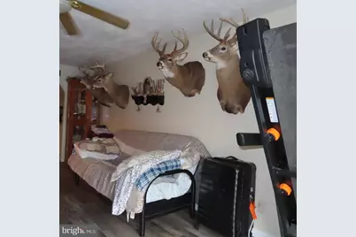 423 W Main Street, Fayetteville, PA 17222 - Photo 55