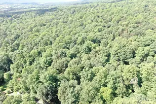 5 5+/- Acres Mountain Green Rd, Willow Hill, PA 17271 - Photo 1