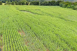 19883 Amberson Rd, Amberson, PA 17210 - Photo 21