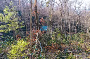 0 Means Hollow Rd, Shippensburg, PA 17257 - Photo 19