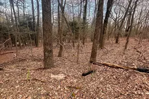 15483 Dogwood Dr, Fort Loudon, PA 17224 - Photo 5