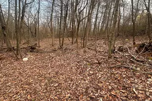 15483 Dogwood Dr, Fort Loudon, PA 17224 - Photo 13