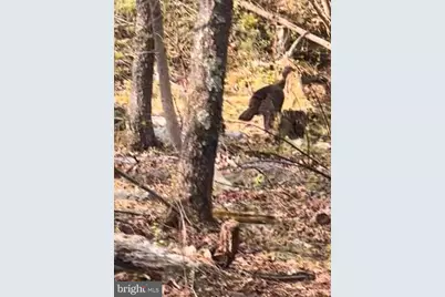 15483 Dogwood Drive, Fort Loudon, PA 17224 - Photo 9