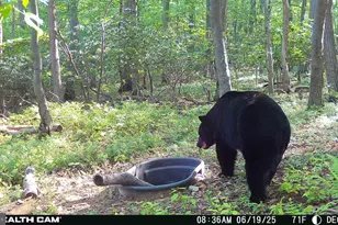 22504 Igloo Dr, Doylesburg, PA 17219 - Photo 51