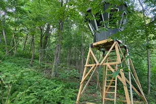 22504 Igloo Dr, Doylesburg, PA 17219 - Photo 37