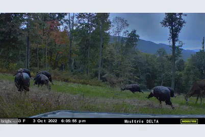 22504 Igloo Drive, Doylesburg, PA 17219 - Photo 49