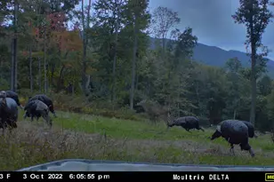 22504 Igloo Dr, Doylesburg, PA 17219 - Photo 49