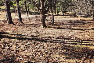 15689 Ridge Rd, Fort Loudon, PA 17224 - Photo 7