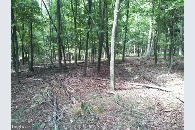 Stumpy Lane, Fort Loudon, PA 17224 - Photo 1