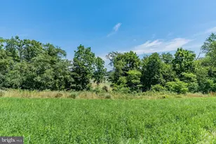 9713 Rowe Run Rd, Shippensburg, PA 17257 - Photo 31