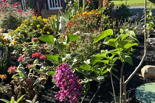 1447 Crottlestown Rd, Chambersburg, PA 17202 - Photo 5